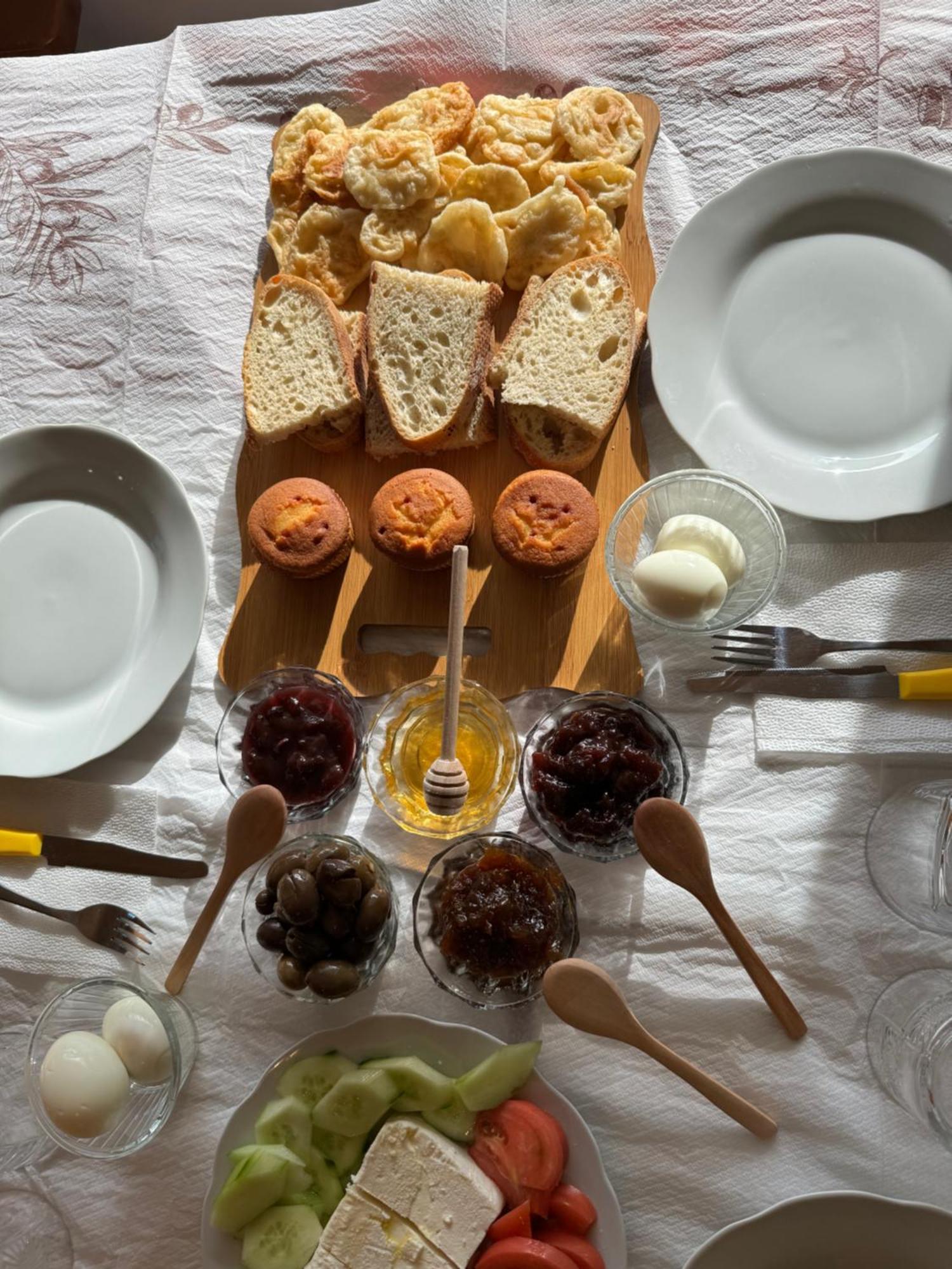 Qyteza Guest House & Camping Szkodra Zewnętrze zdjęcie