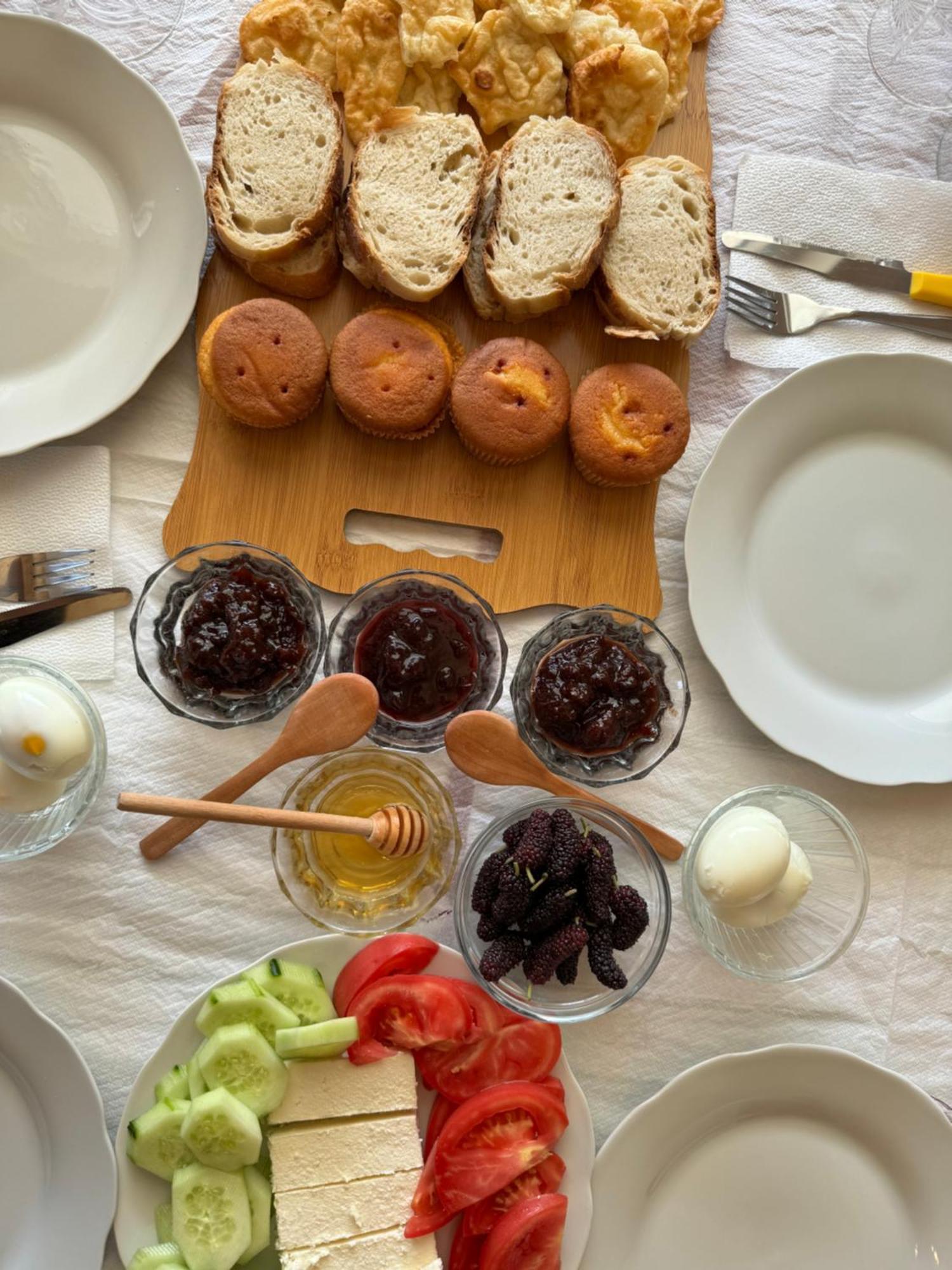 Qyteza Guest House & Camping Szkodra Zewnętrze zdjęcie